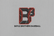 Boyle Brothers Baseball Logo